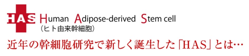 HAS���C�X�g�G�b�Z���X���T�C�g